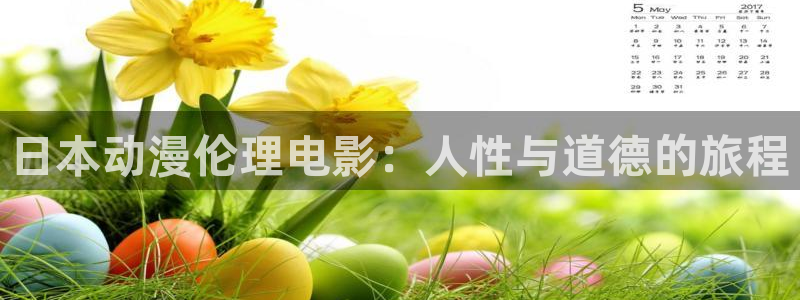 78动漫变形金刚